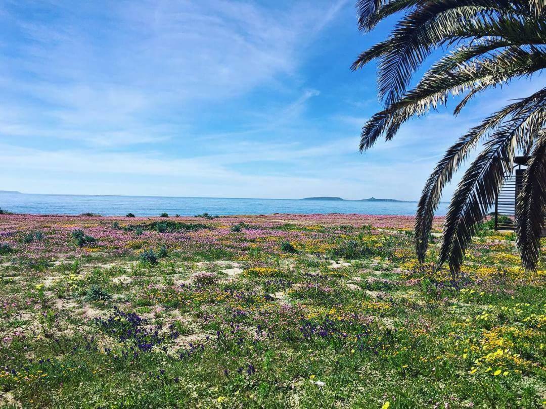 Affittacamere Acquamarina Oristano Esterno foto